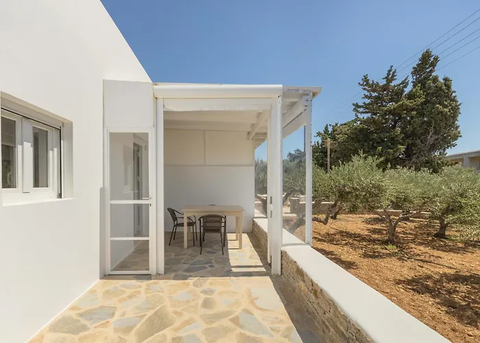 Andriana's 2 - Cycladic With Garden , Paros Drios